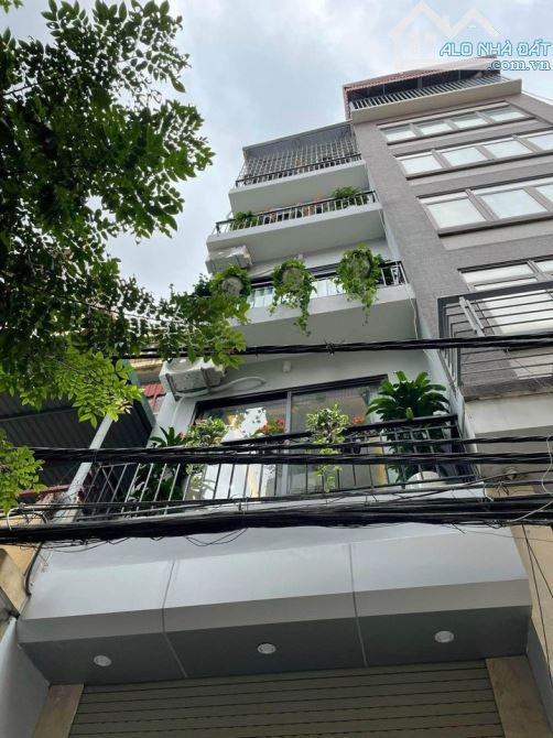 4037552 ảnh đại diện 1