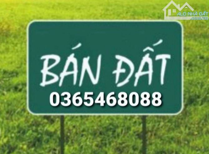 4038647 ảnh đại diện 1