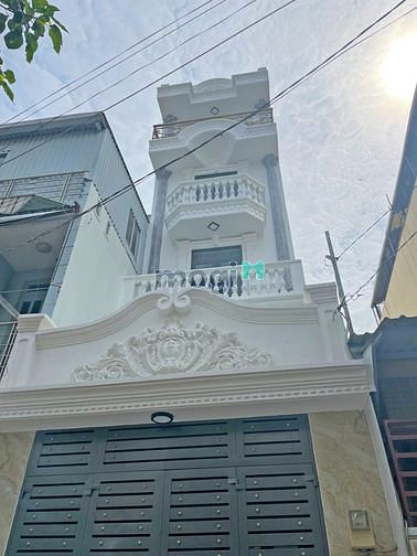 4036655 ảnh đại diện 1