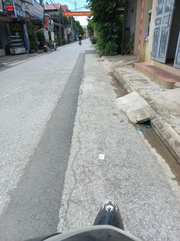 4036898 ảnh đại diện 2