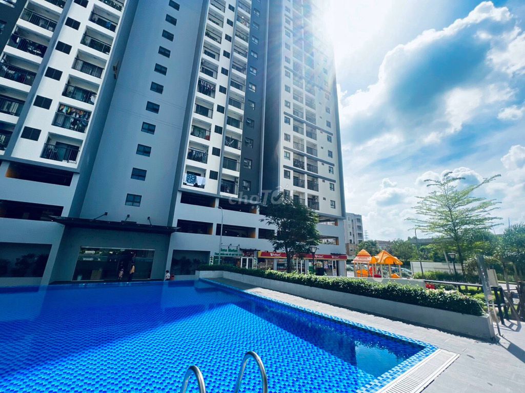 4037823 ảnh đại diện 1