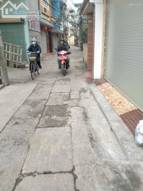 4038649 ảnh đại diện 1