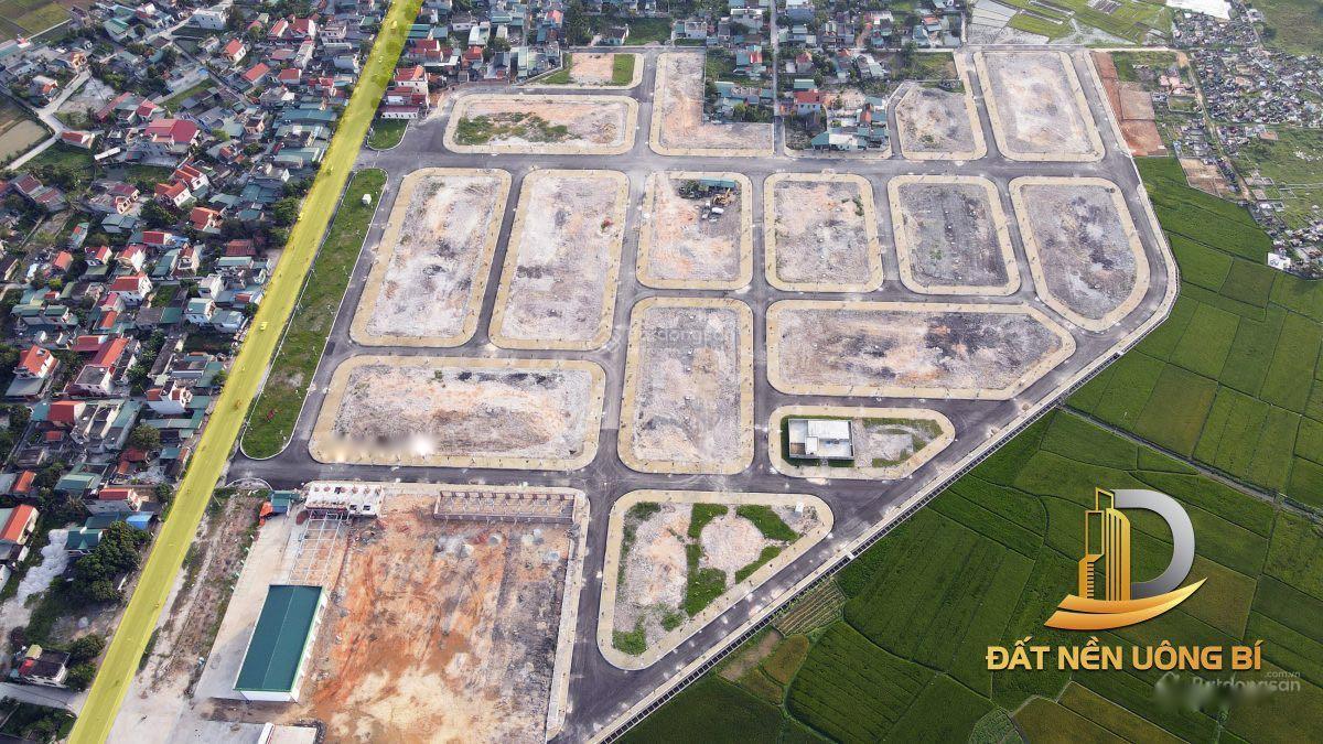 4037146 ảnh đại diện 2
