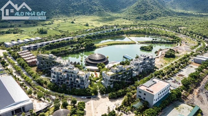 4037270 ảnh đại diện 1