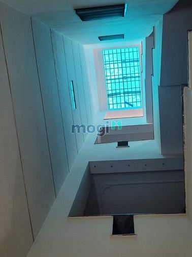 4037504 ảnh đại diện 2