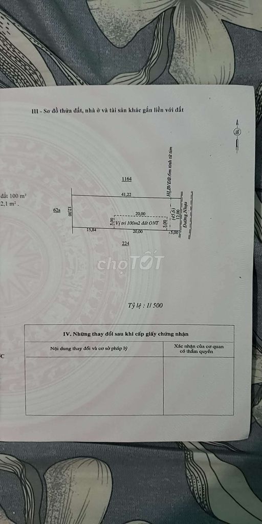 4040804 ảnh đại diện 2
