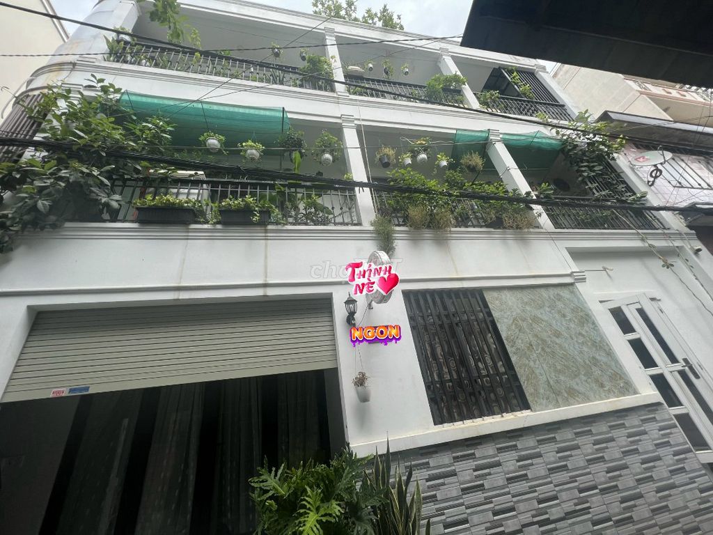 4038003 ảnh đại diện 1