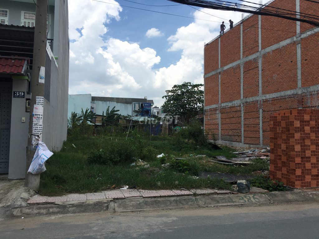 4037387 ảnh đại diện 2