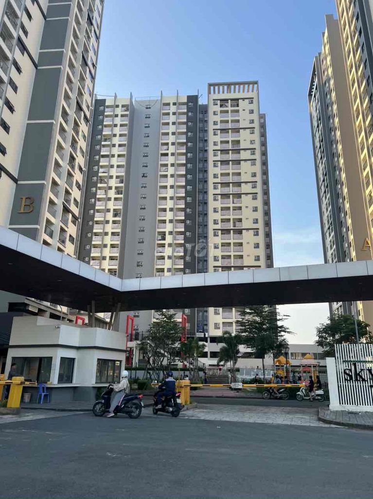 4037850 ảnh đại diện 1
