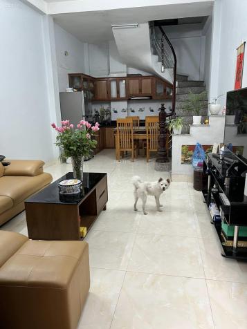 4037697 ảnh đại diện 1
