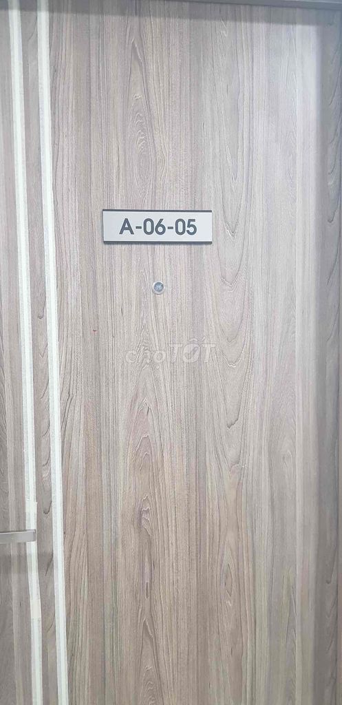 4037828 ảnh đại diện 1