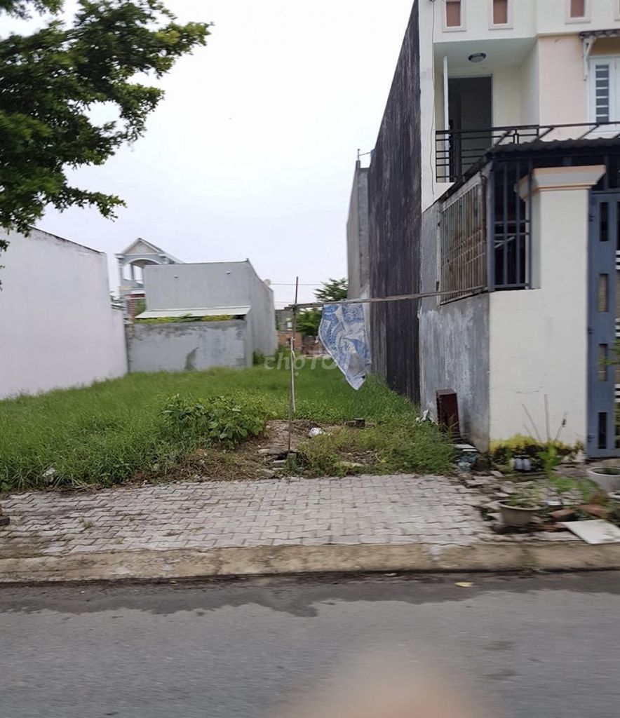 4037387 ảnh đại diện 1