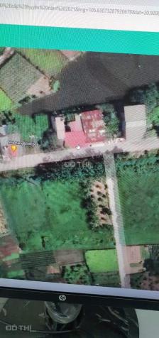 4036898 ảnh đại diện 1