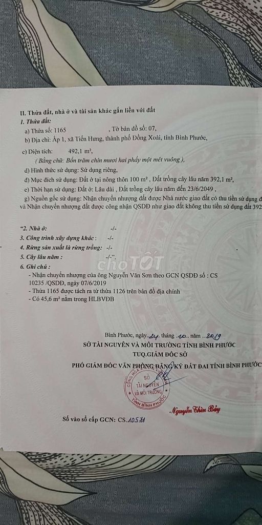 4040804 ảnh đại diện 1