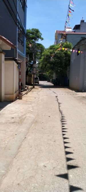 4038649 ảnh đại diện 1