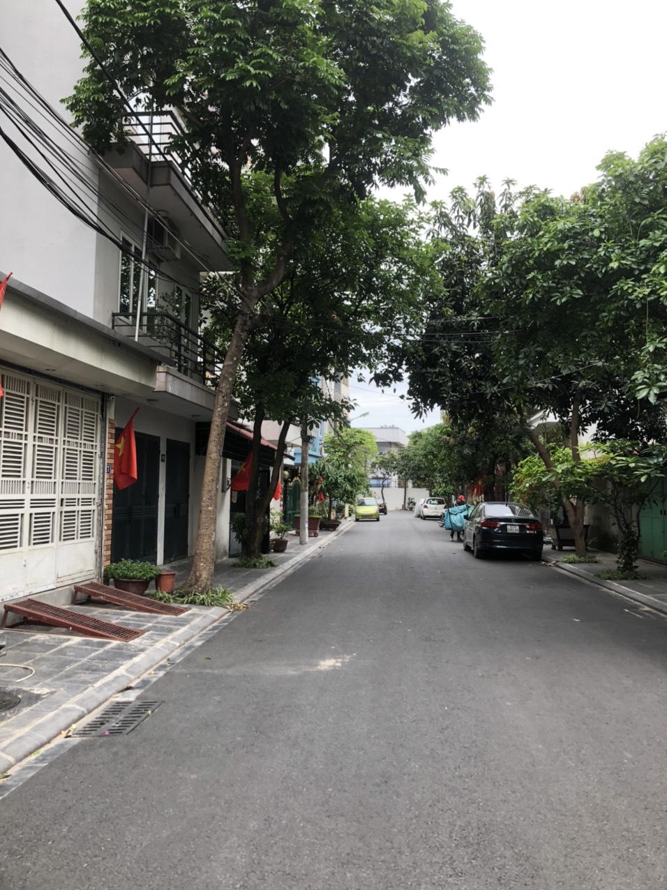 4041834 ảnh đại diện 1