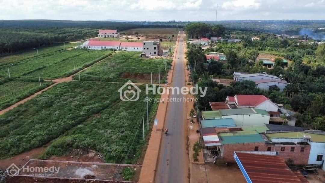 4041278 ảnh đại diện 1