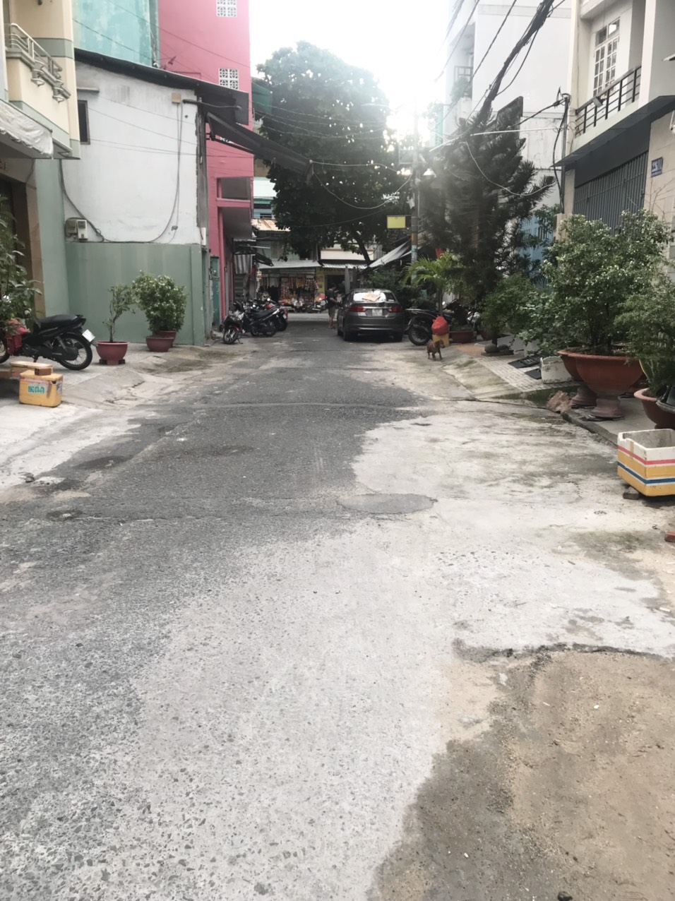 4042560 ảnh đại diện 1
