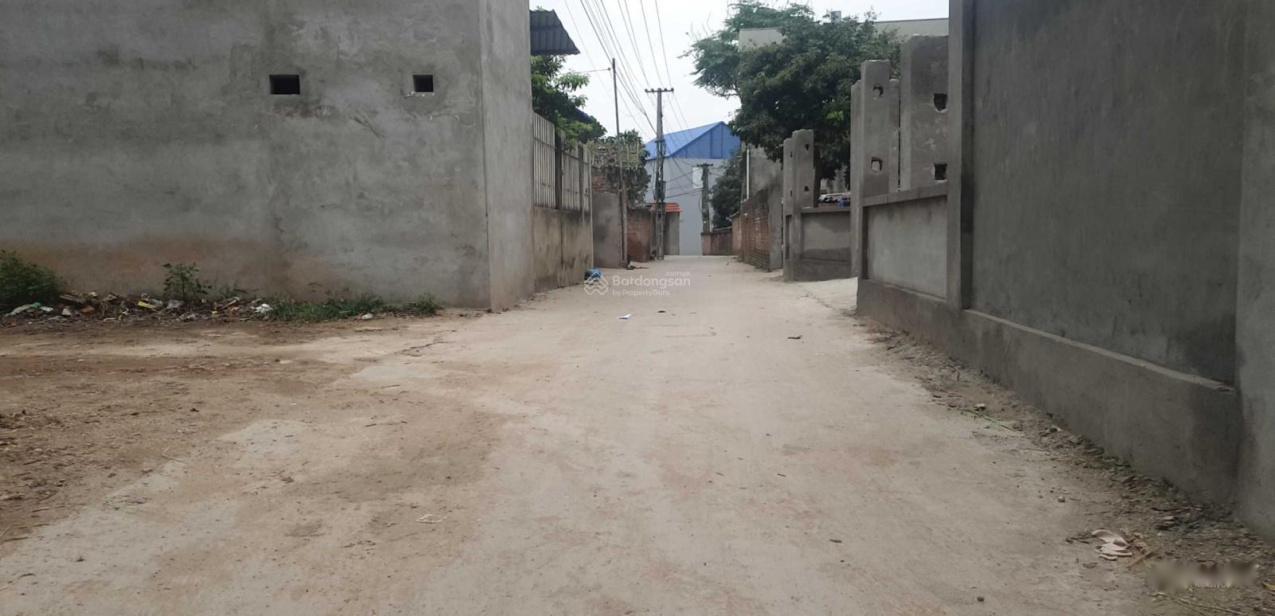 4042588 ảnh đại diện 1