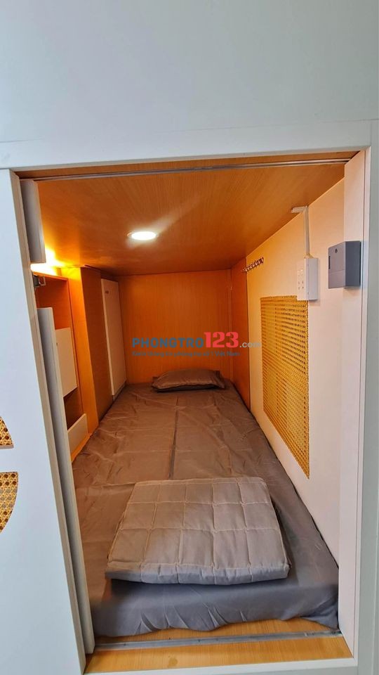 4044036 ảnh đại diện 1