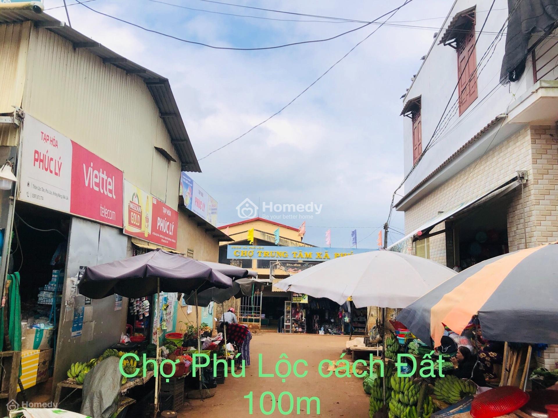 4041345 ảnh đại diện 1