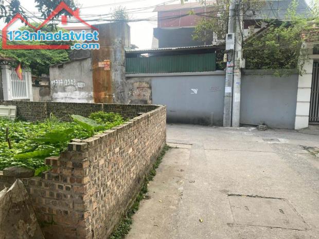 4041853 ảnh đại diện 1