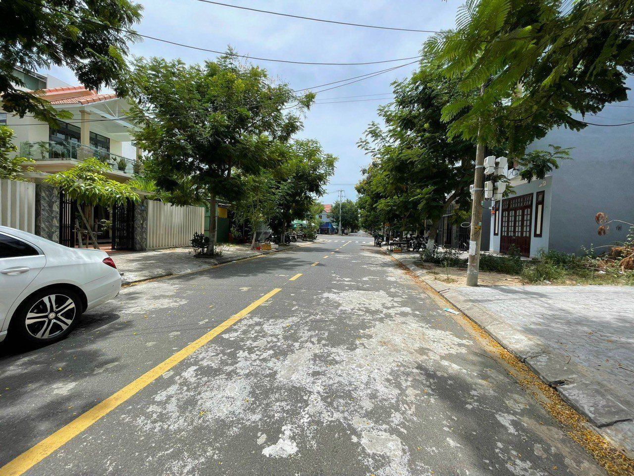 4044419 ảnh đại diện 2
