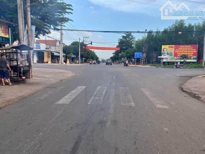 4042643 ảnh đại diện 2