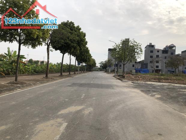 4041854 ảnh đại diện 1