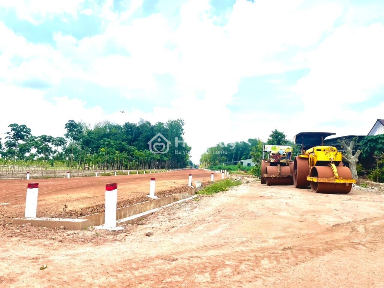 4044795 ảnh đại diện 1