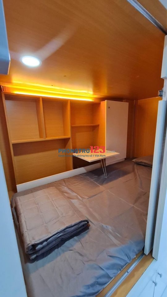 4044036 ảnh đại diện 2