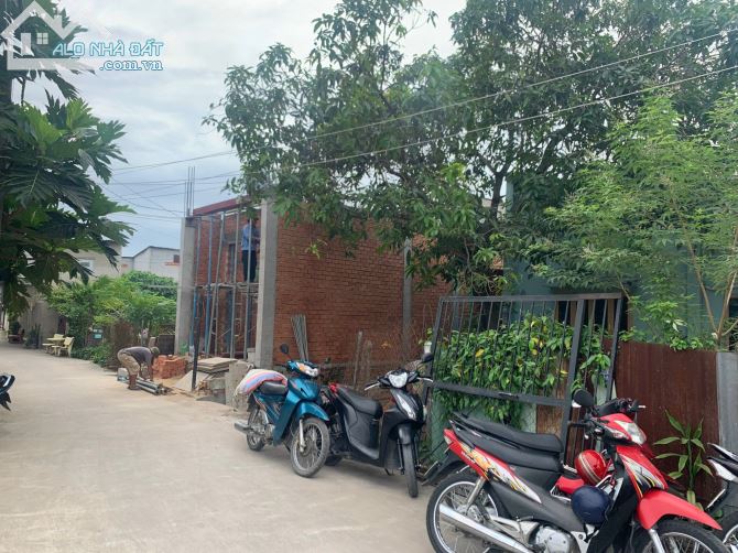 4043383 ảnh đại diện 1