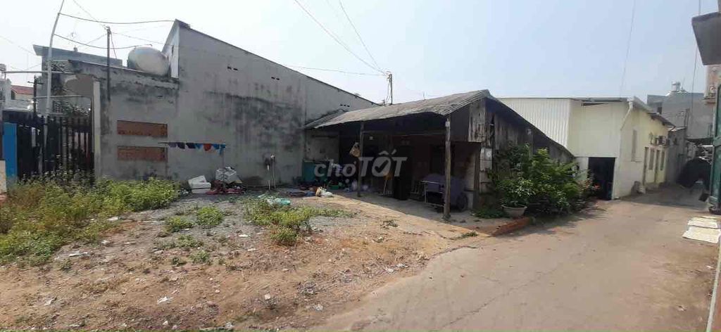 4041717 ảnh đại diện 1