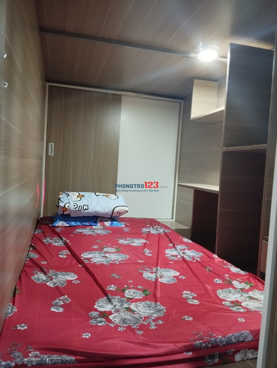 4044041 ảnh đại diện 1
