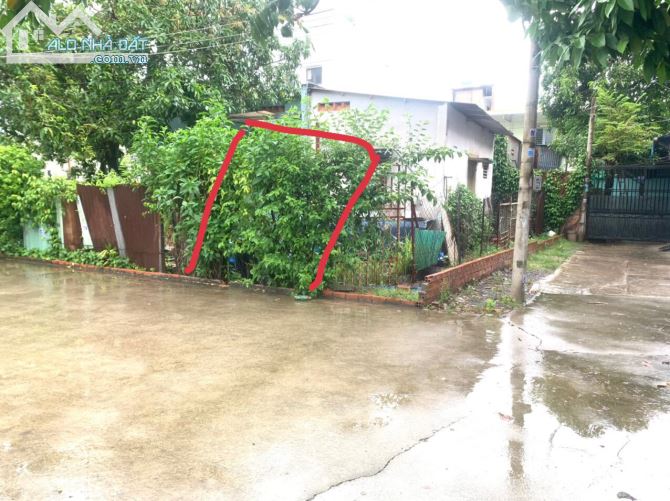 4043383 ảnh đại diện 2