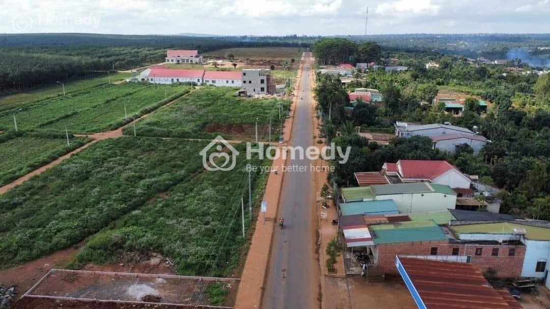 4041348 ảnh đại diện 2