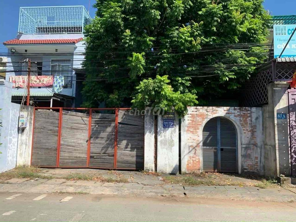 4041709 ảnh đại diện 1