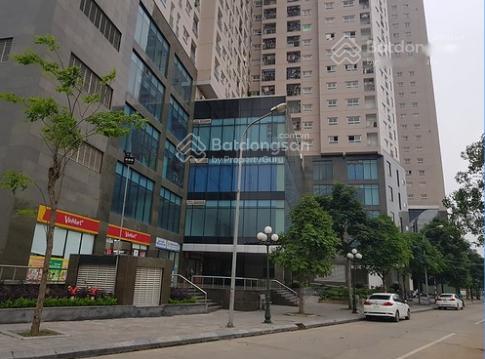 4044810 ảnh đại diện 1