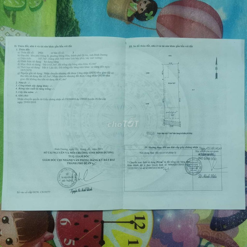 4041724 ảnh đại diện 1
