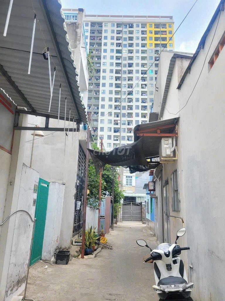 4041721 ảnh đại diện 1