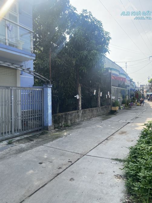 4042537 ảnh đại diện 2