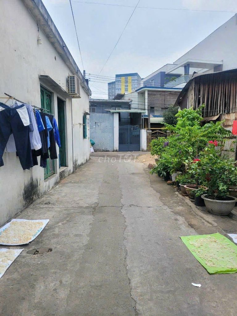 4041721 ảnh đại diện 1