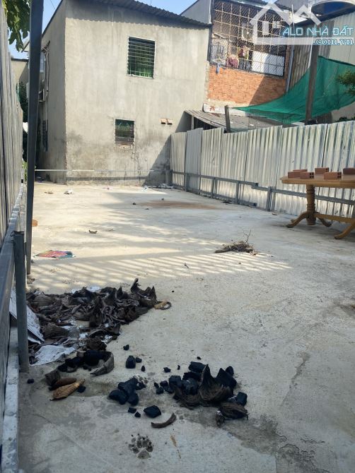 4042537 ảnh đại diện 1