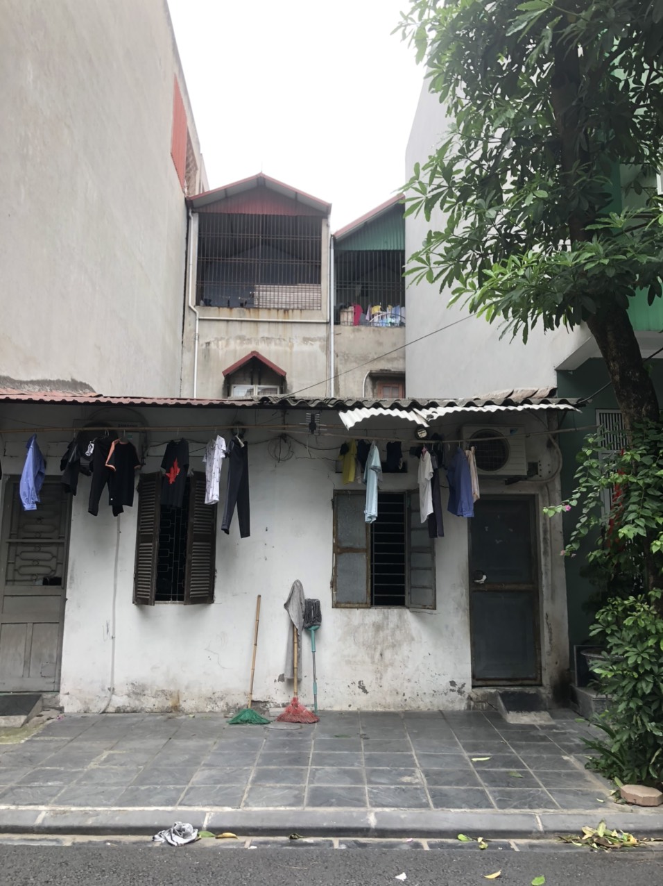4041834 ảnh đại diện 2