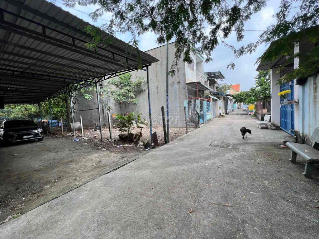 4041720 ảnh đại diện 1