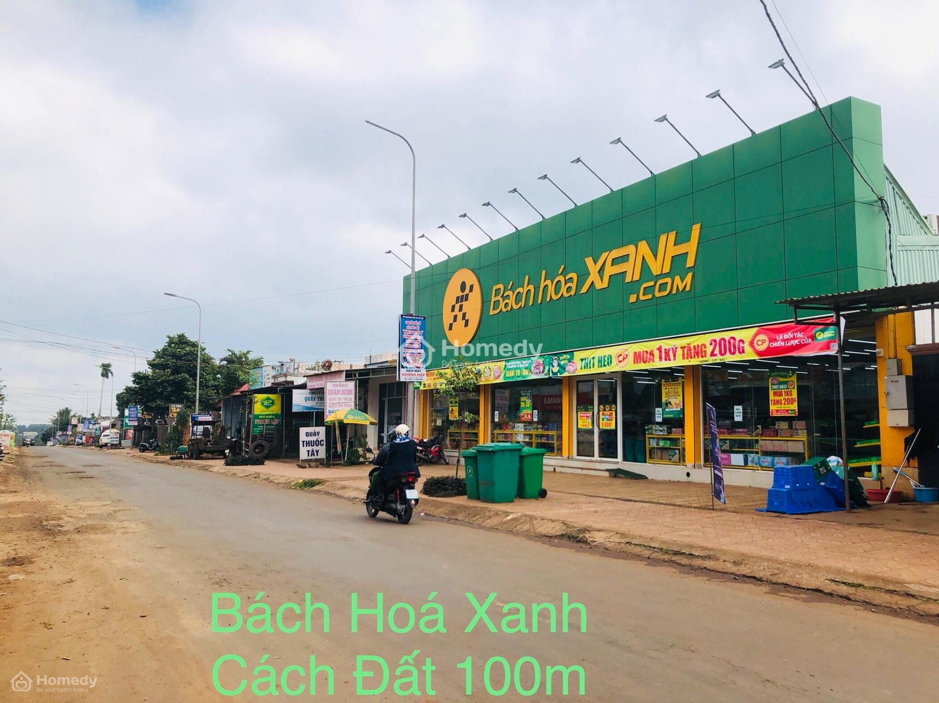 4041345 ảnh đại diện 2