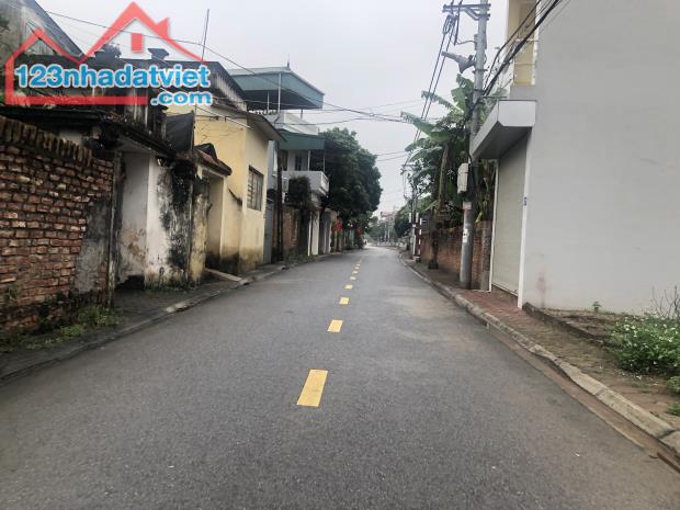 4041869 ảnh đại diện 2