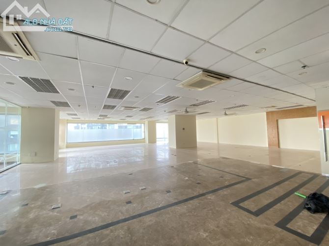 4043315 ảnh đại diện 1