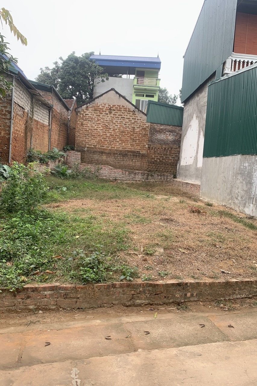 4041910 ảnh đại diện 2