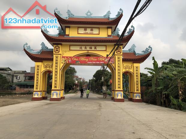 4041853 ảnh đại diện 2